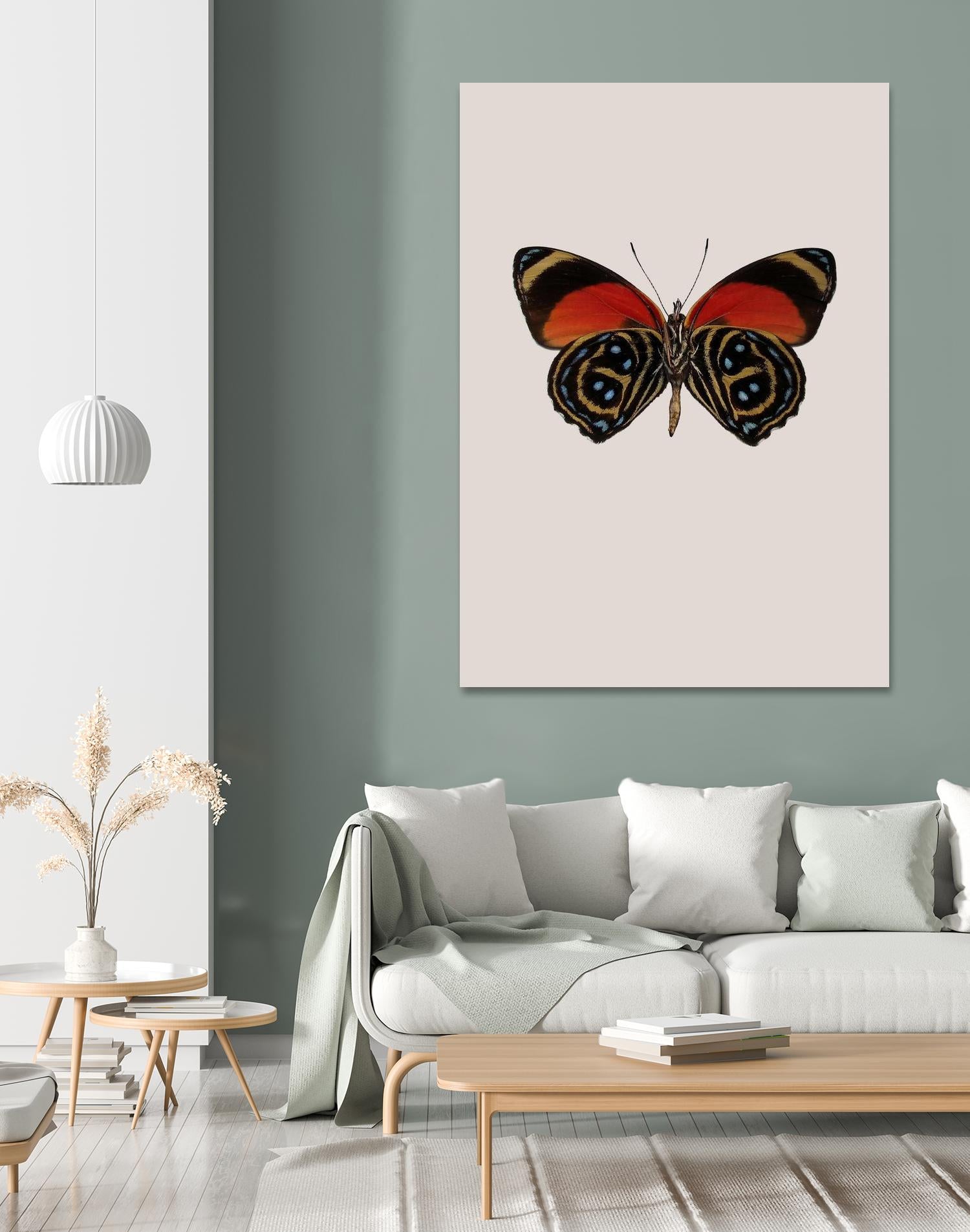 Agrias amydon by Incado on GIANT ART - multicolor animals; floral/still life