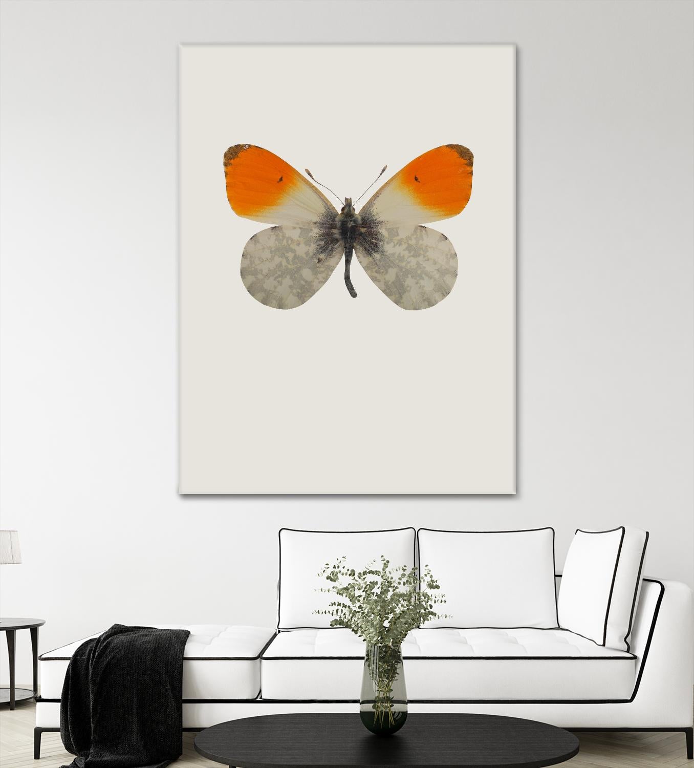 Agrias amydon by Incado on GIANT ART - multicolor animals; floral/still life