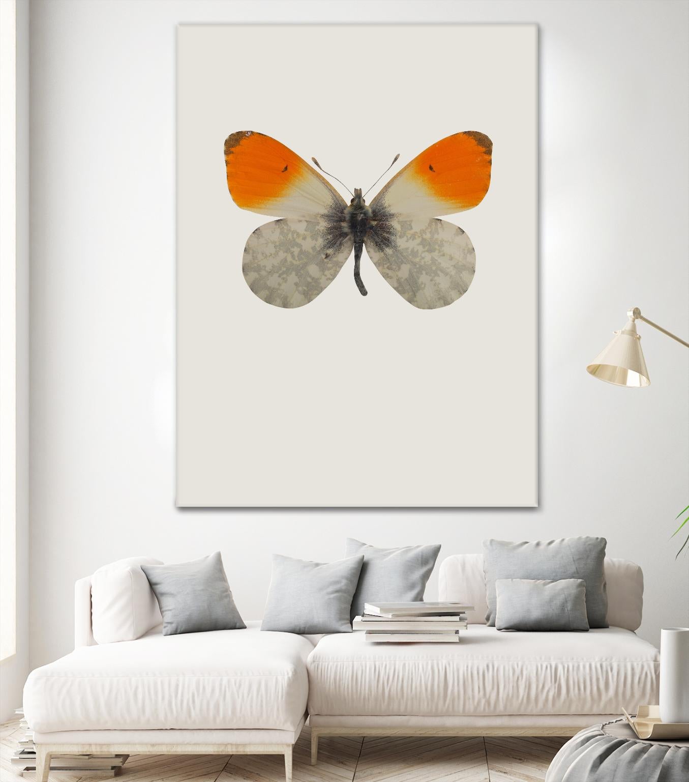 Agrias amydon by Incado on GIANT ART - multicolor animals; floral/still life