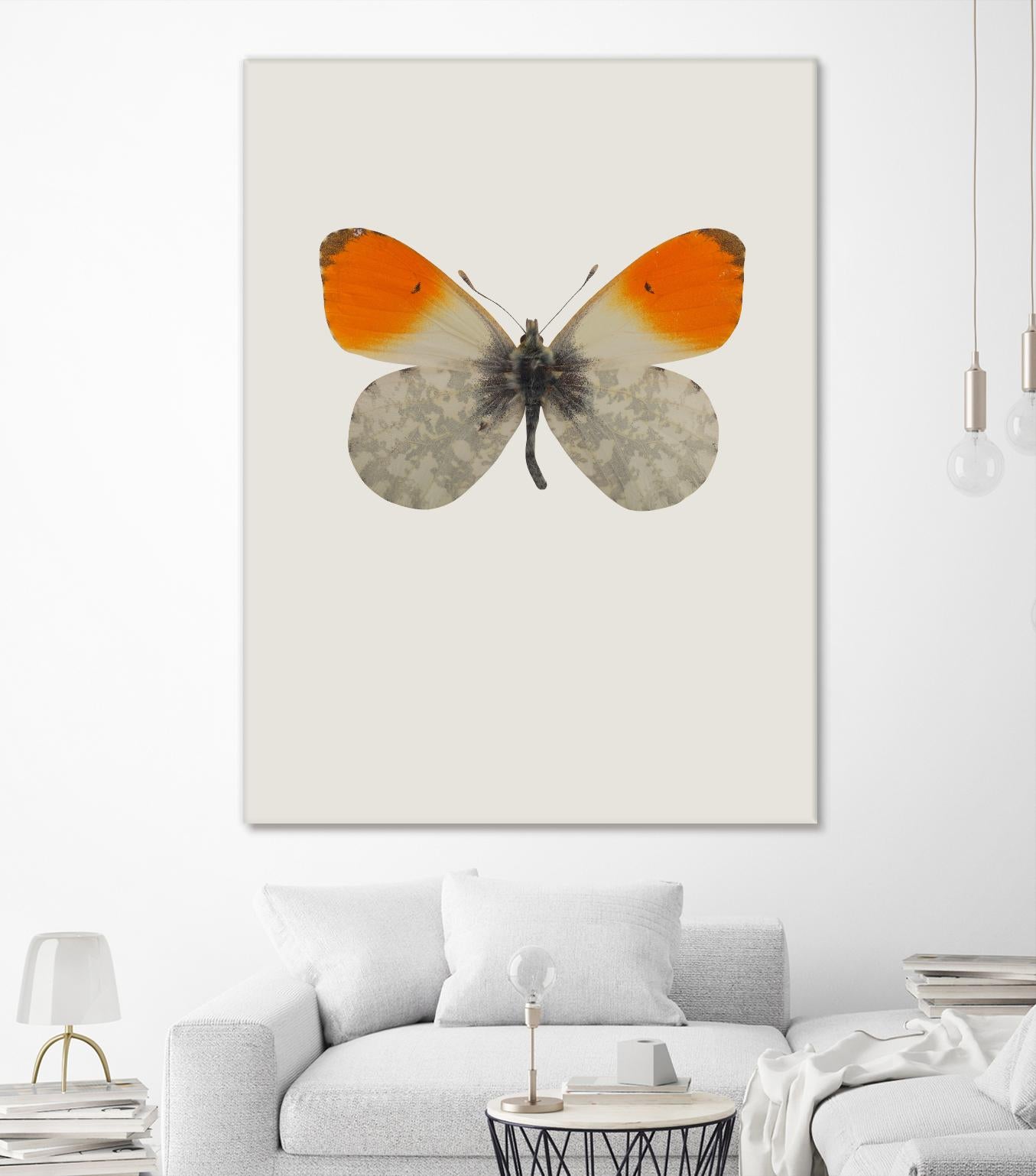 Agrias amydon by Incado on GIANT ART - multicolor animals; floral/still life