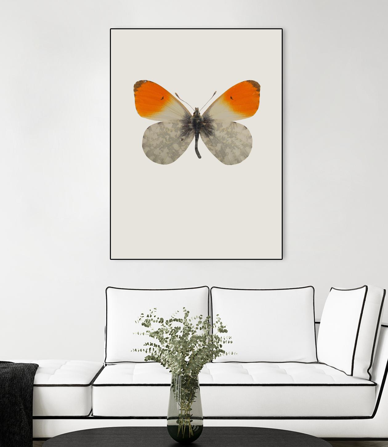 Agrias amydon by Incado on GIANT ART - multicolor animals; floral/still life