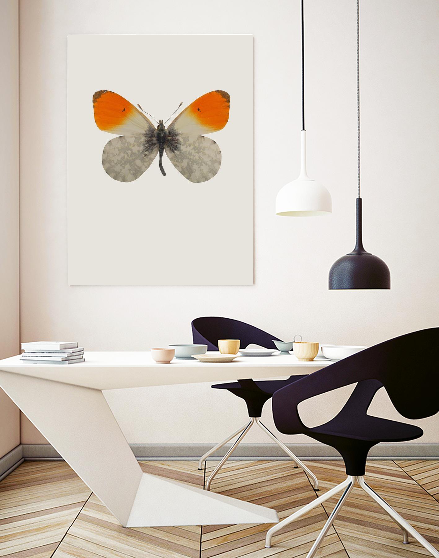 Agrias amydon by Incado on GIANT ART - multicolor animals; floral/still life