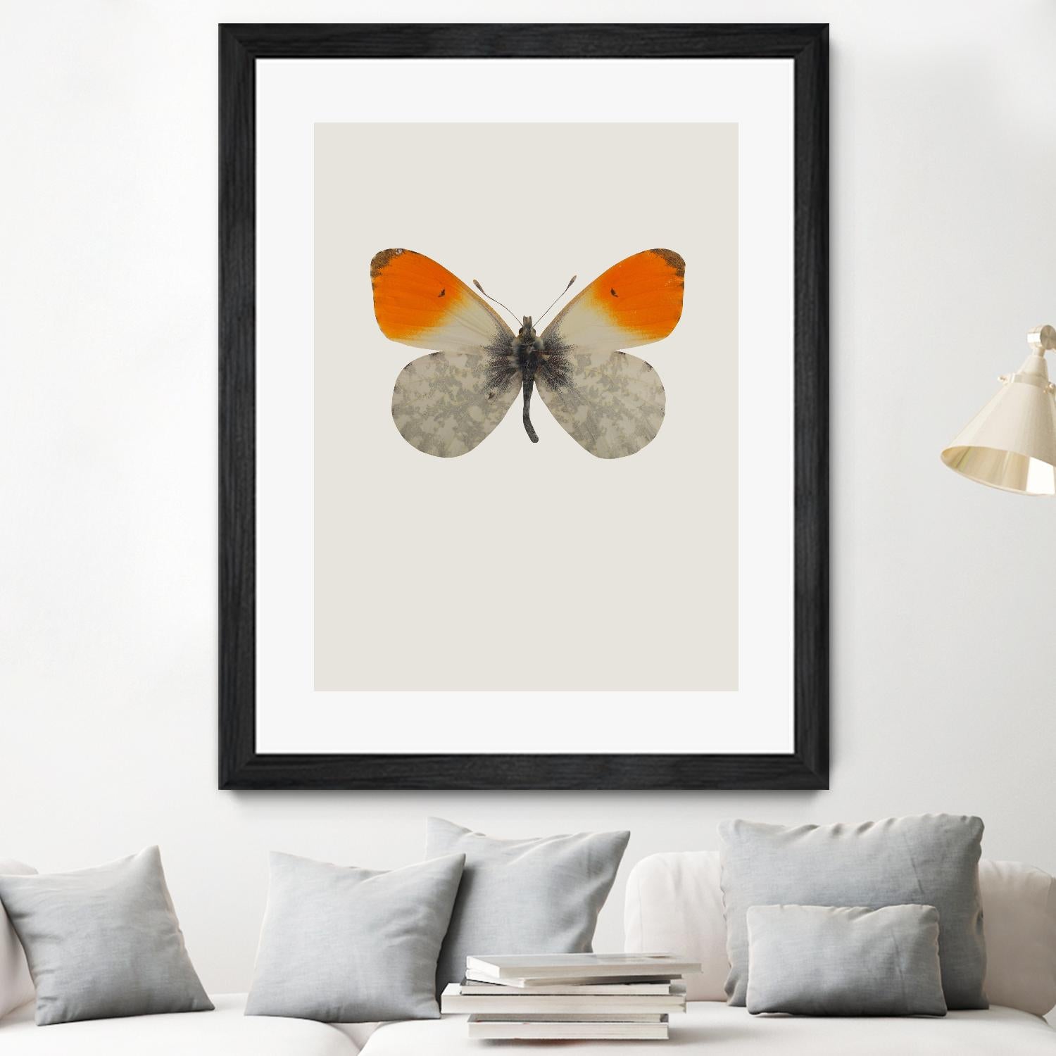 Agrias amydon by Incado on GIANT ART - multicolor animals; floral/still life