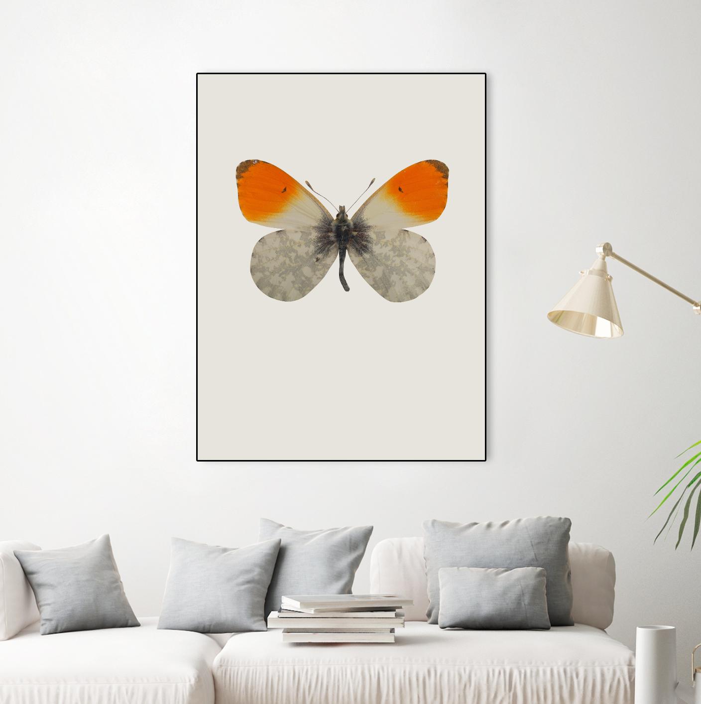 Agrias amydon by Incado on GIANT ART - multicolor animals; floral/still life