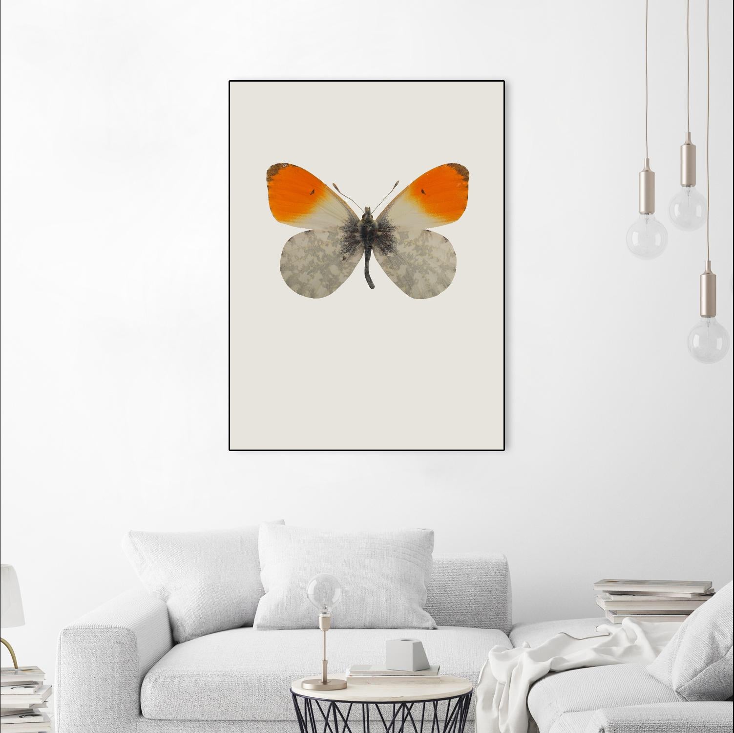 Agrias amydon by Incado on GIANT ART - multicolor animals; floral/still life