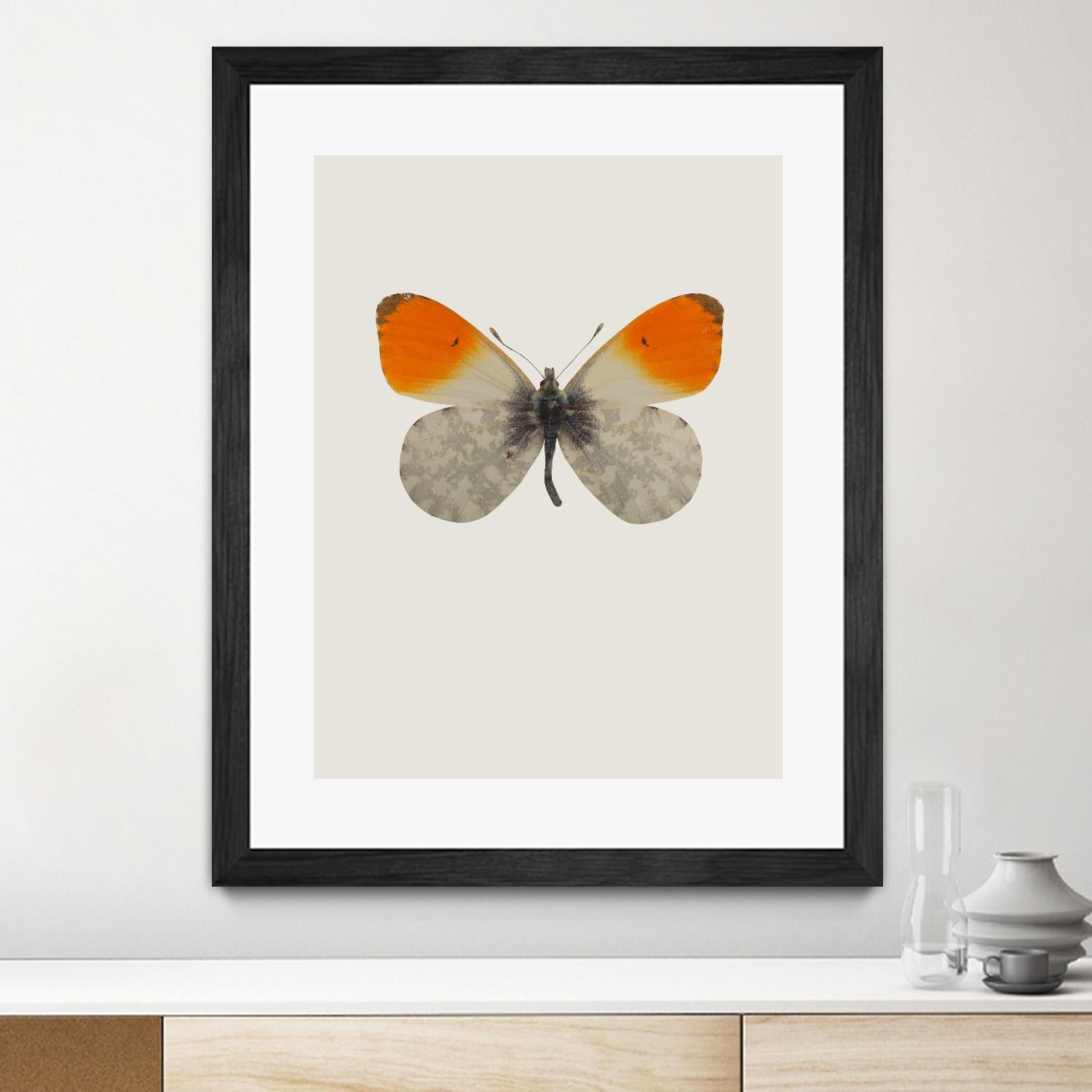 Agrias amydon by Incado on GIANT ART - multicolor animals; floral/still life