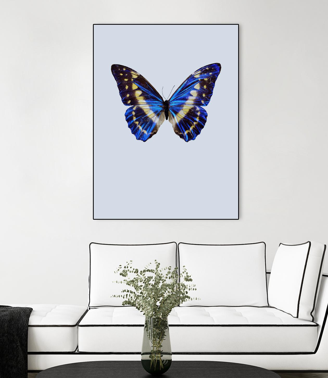 Blue Butterfly by Incado on GIANT ART - multicolor animals; floral/still life