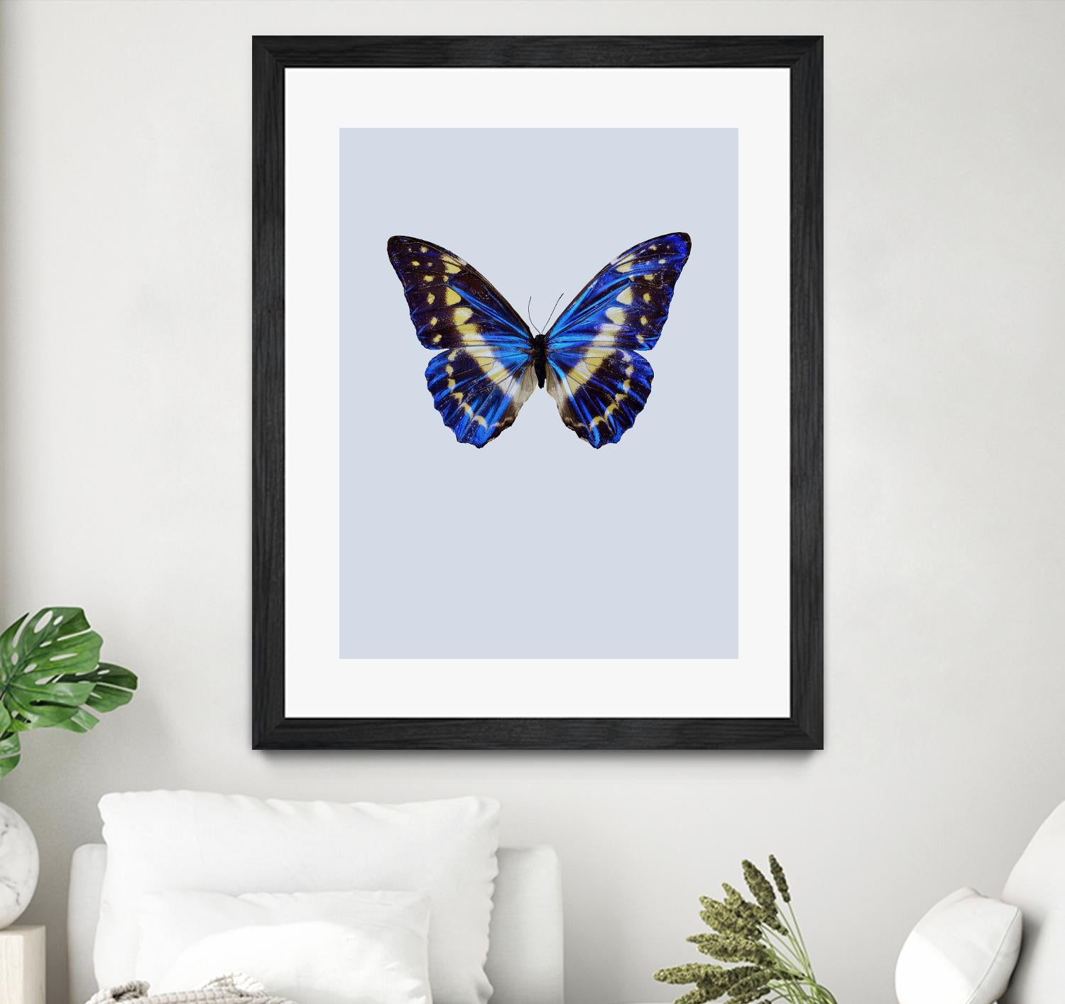 Blue Butterfly by Incado on GIANT ART - multicolor animals; floral/still life