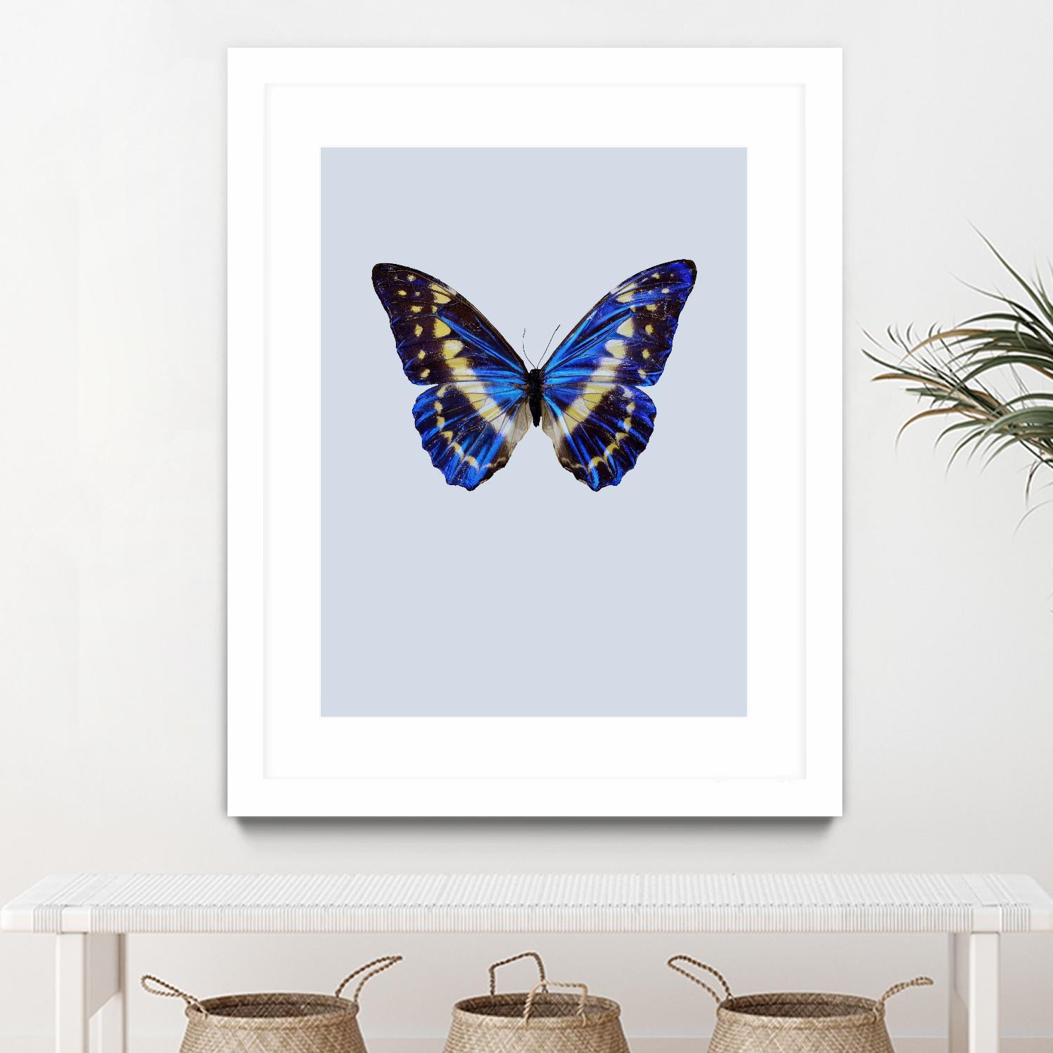 Blue Butterfly by Incado on GIANT ART - multicolor animals; floral/still life