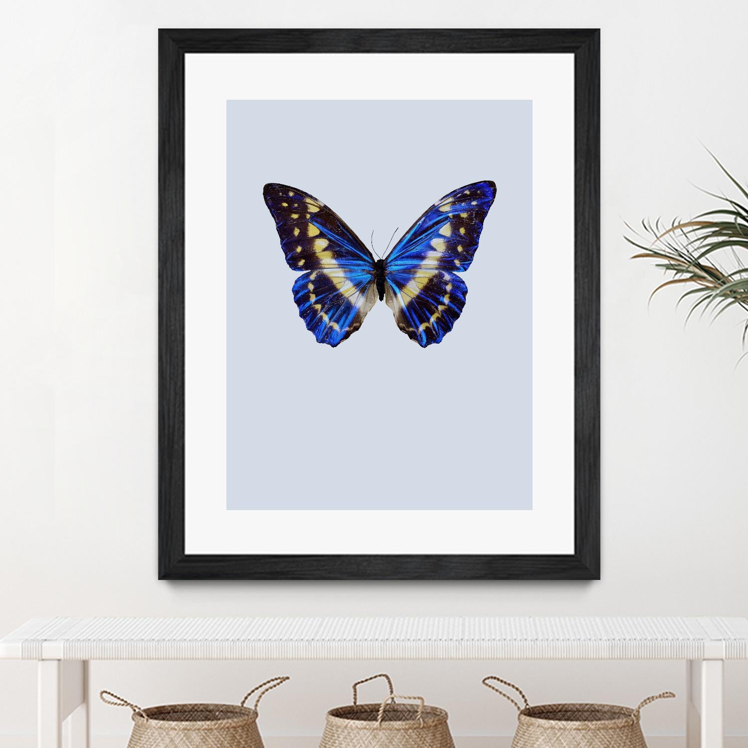 Blue Butterfly by Incado on GIANT ART - multicolor animals; floral/still life