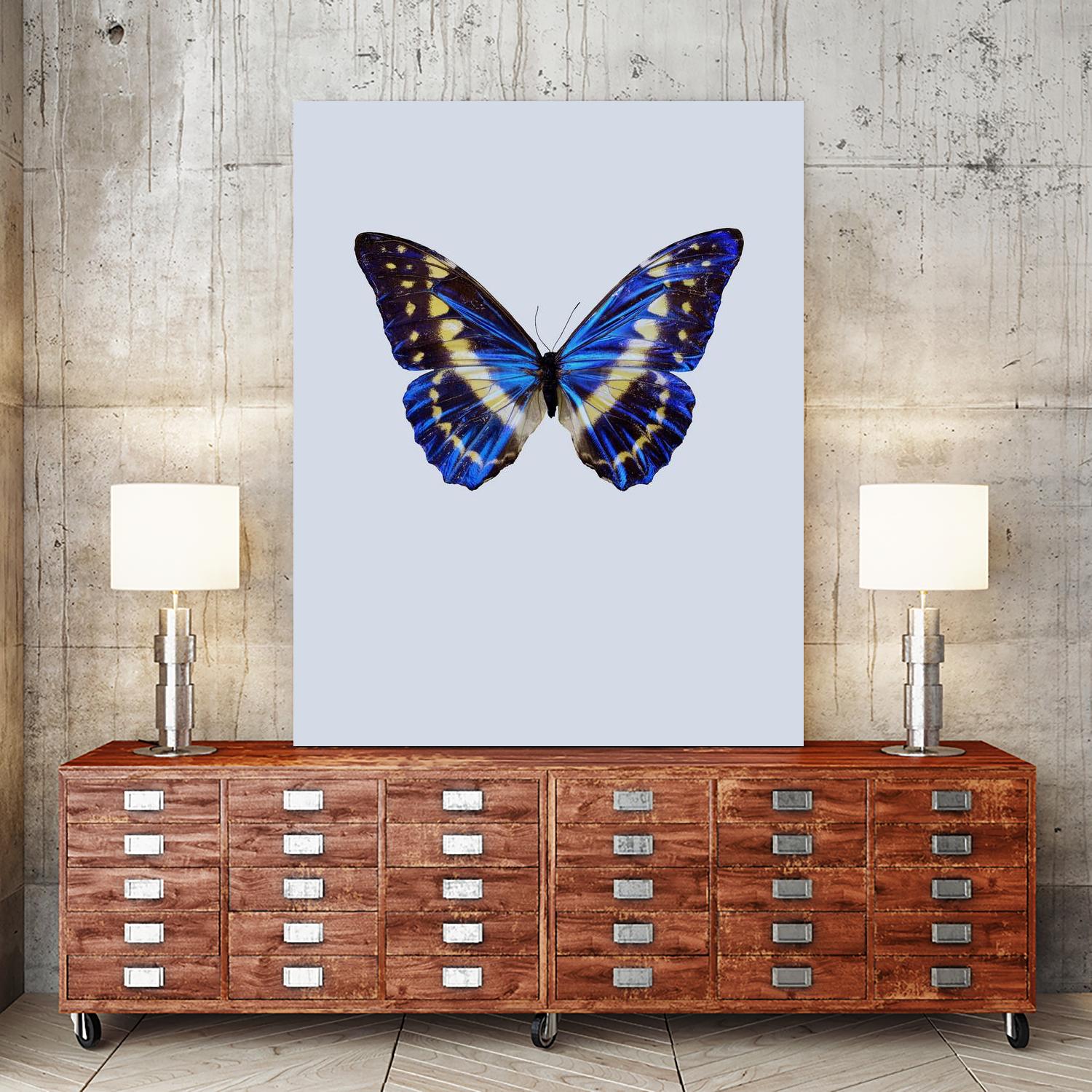 Blue Butterfly by Incado on GIANT ART - multicolor animals; floral/still life