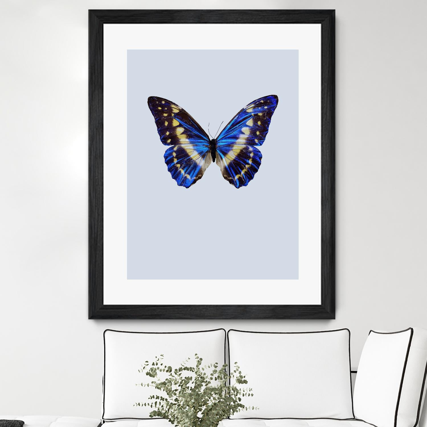 Blue Butterfly by Incado on GIANT ART - multicolor animals; floral/still life