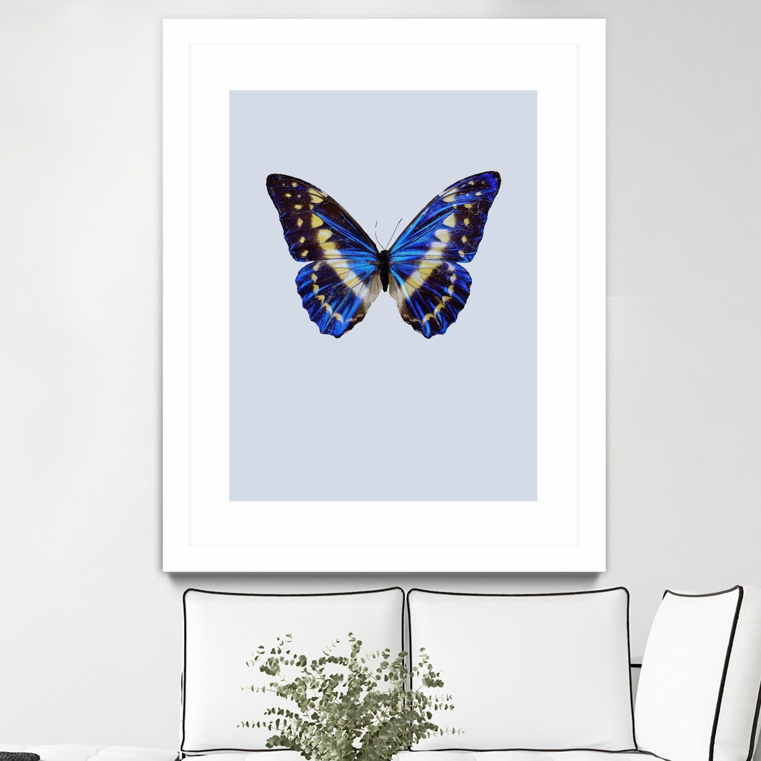Blue Butterfly by Incado on GIANT ART - multicolor animals; floral/still life