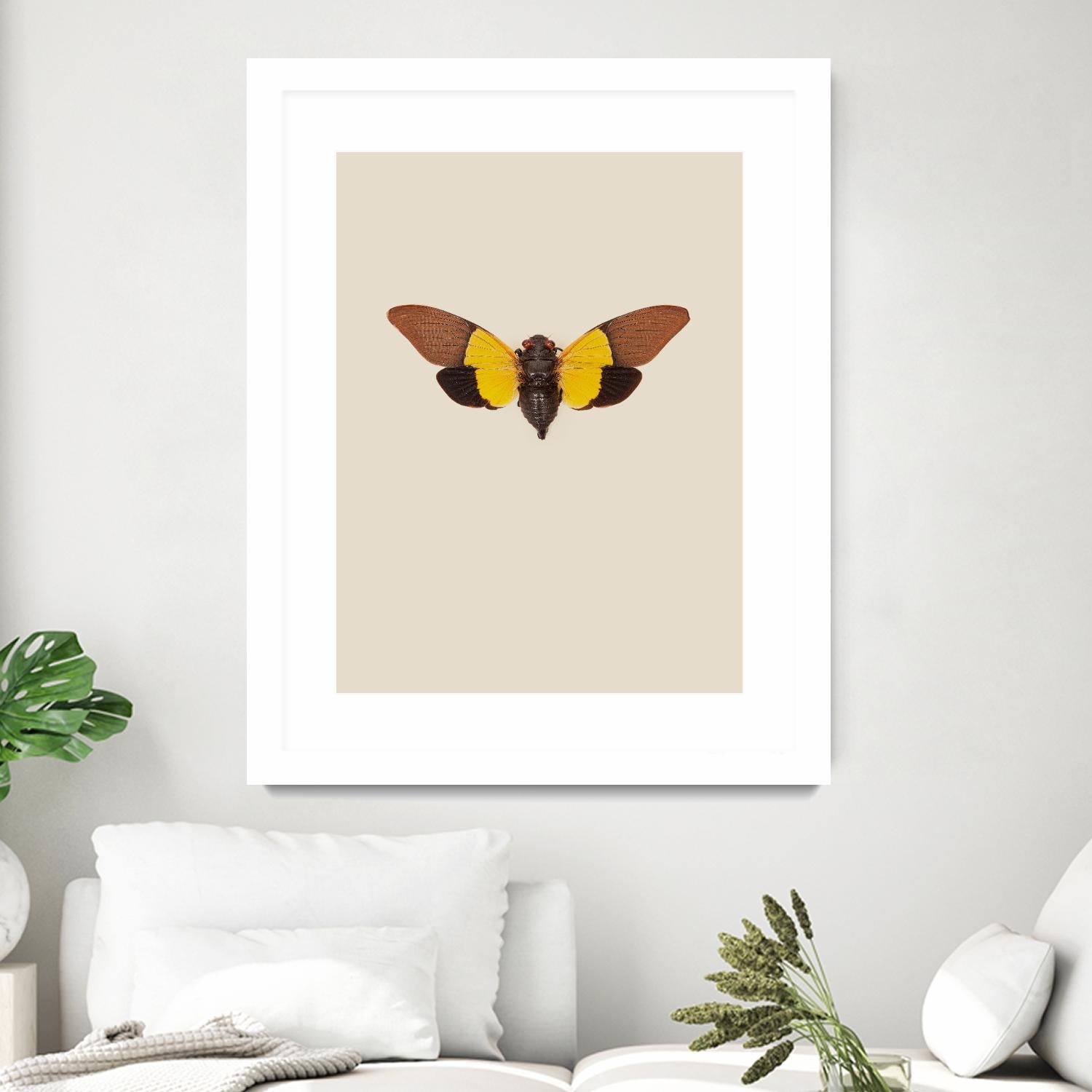 Cicada by Incado on GIANT ART - multicolor animals; floral/still life