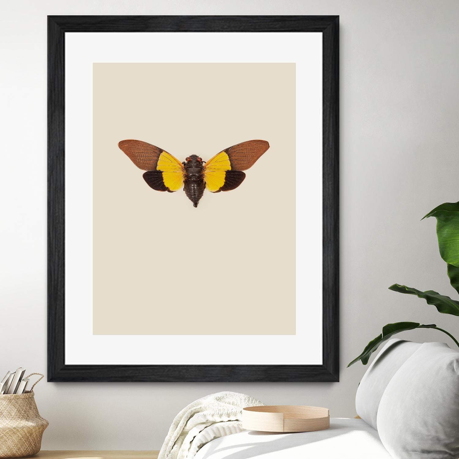 Cicada by Incado on GIANT ART - multicolor animals; floral/still life