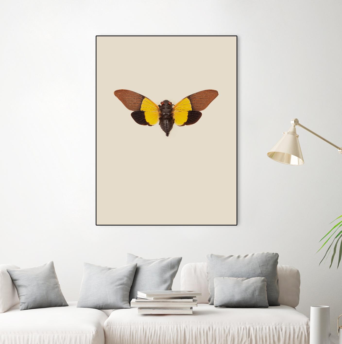 Cicada by Incado on GIANT ART - multicolor animals; floral/still life