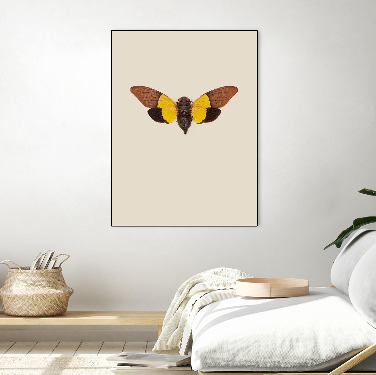 Cicada by Incado on GIANT ART - multicolor animals; floral/still life