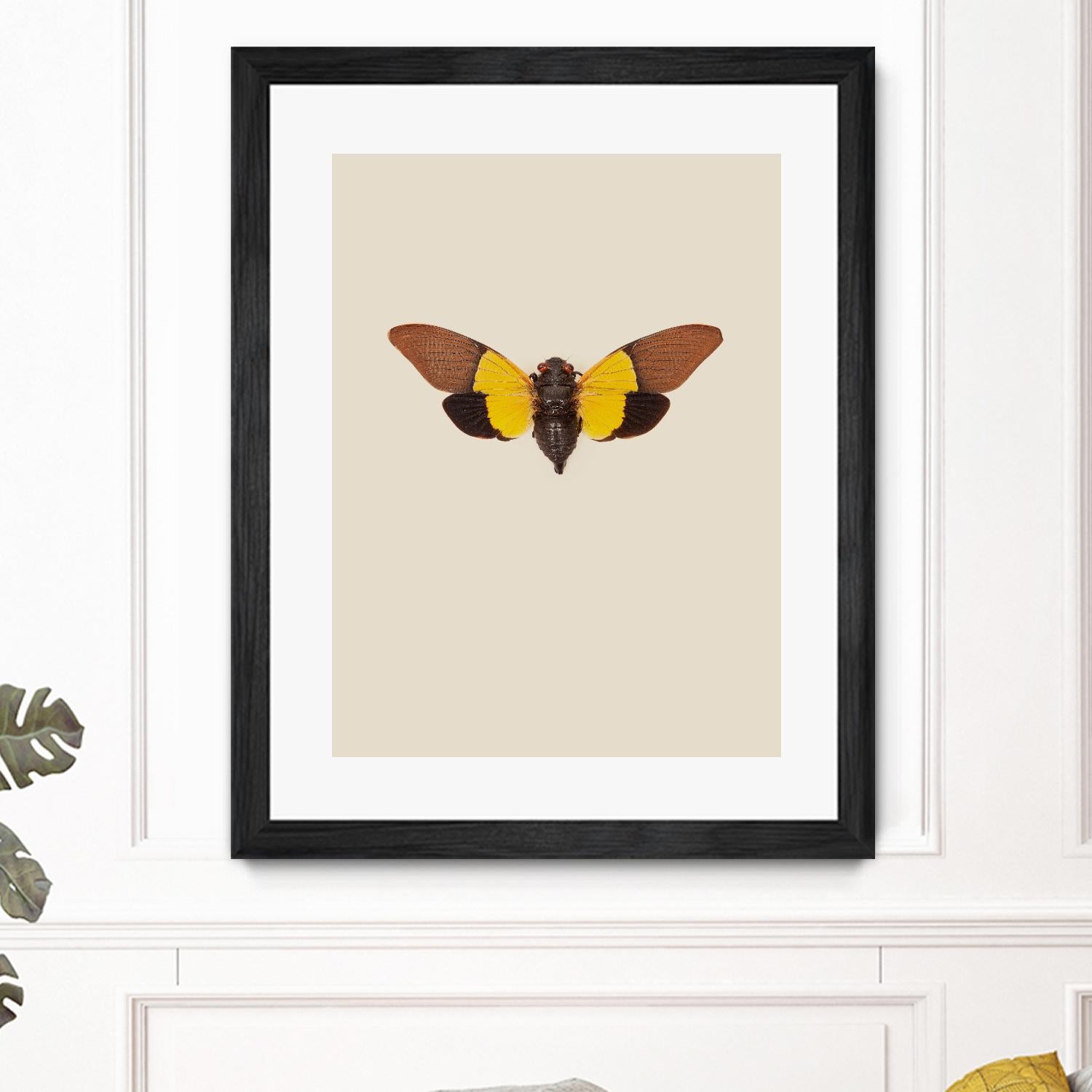 Cicada by Incado on GIANT ART - multicolor animals; floral/still life