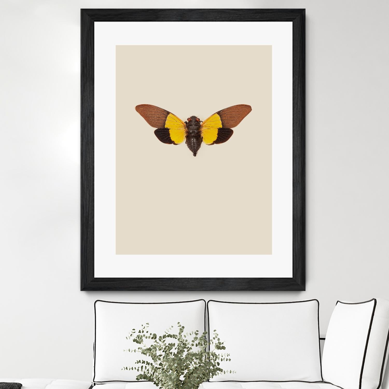 Cicada by Incado on GIANT ART - multicolor animals; floral/still life