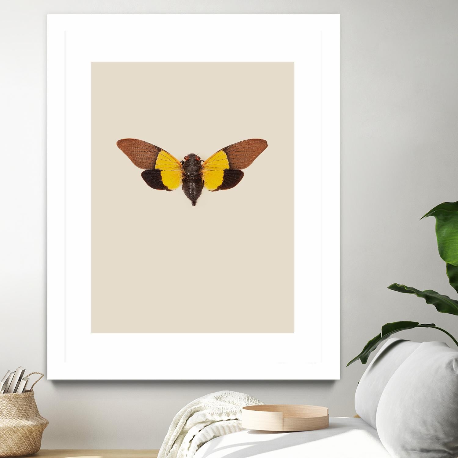 Cicada by Incado on GIANT ART - multicolor animals; floral/still life