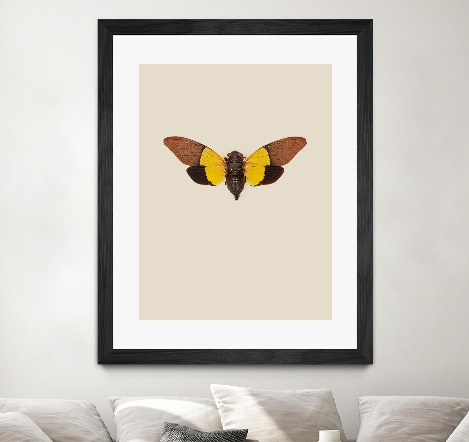 Cicada by Incado on GIANT ART - multicolor animals; floral/still life