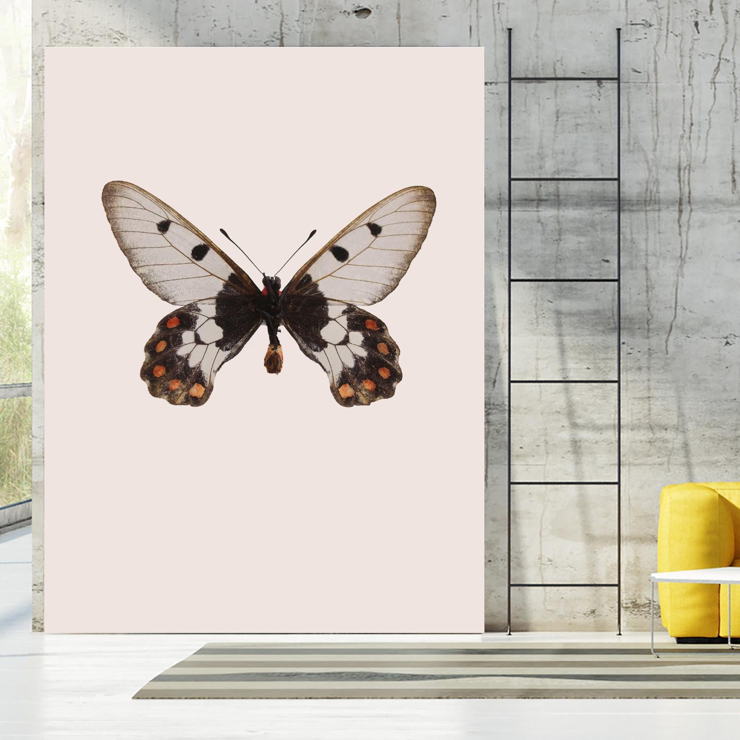 Cressida cressida by Incado on GIANT ART - multicolor animals; floral/still life