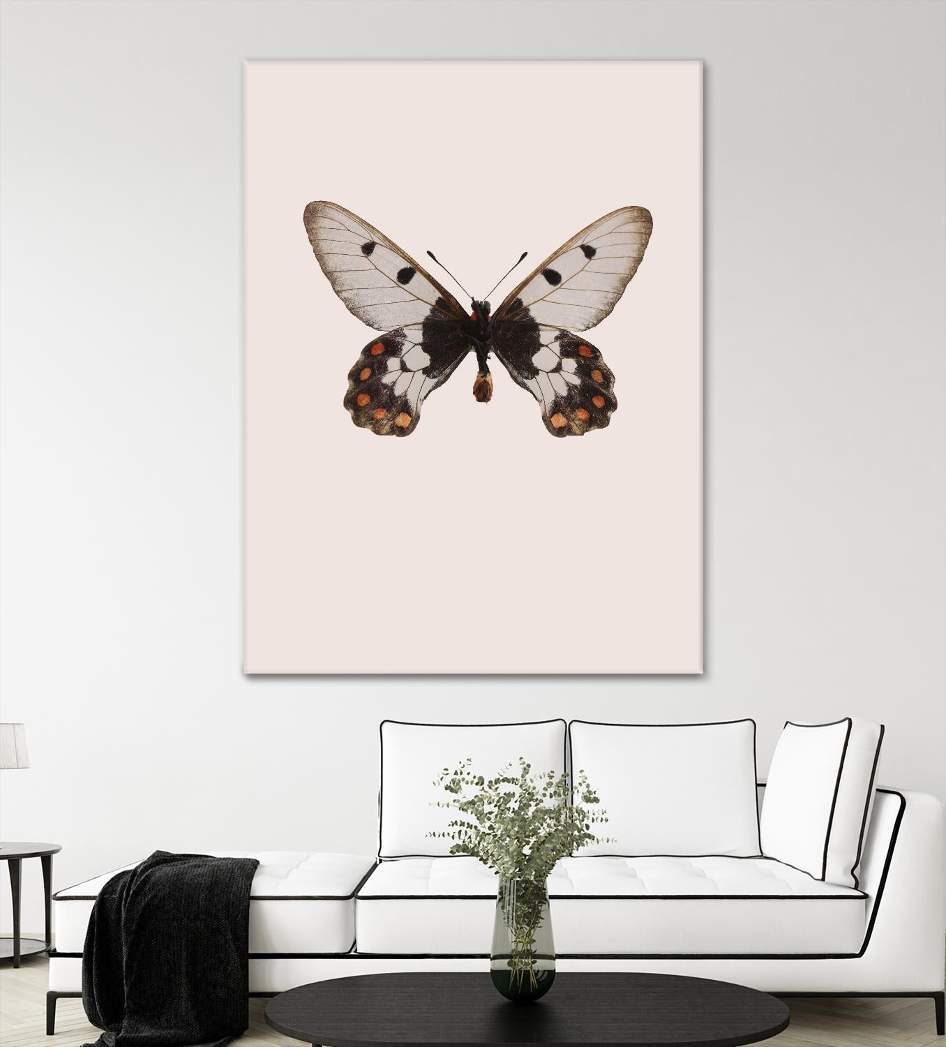 Cressida cressida by Incado on GIANT ART - multicolor animals; floral/still life