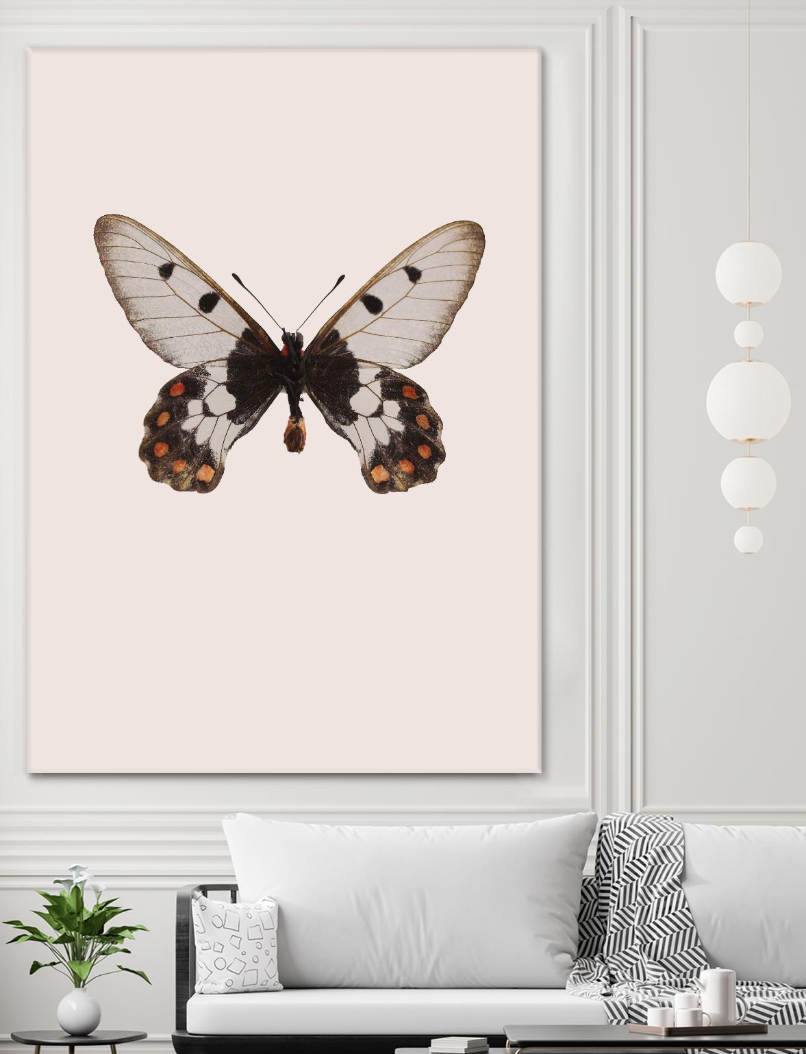 Cressida cressida by Incado on GIANT ART - multicolor animals; floral/still life