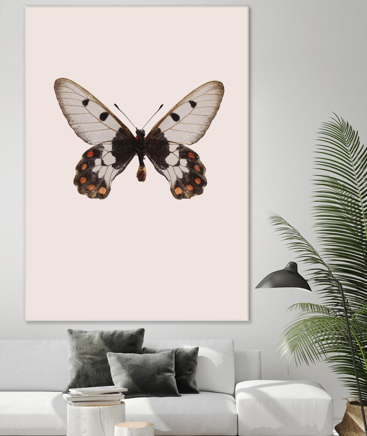 Cressida cressida by Incado on GIANT ART - multicolor animals; floral/still life