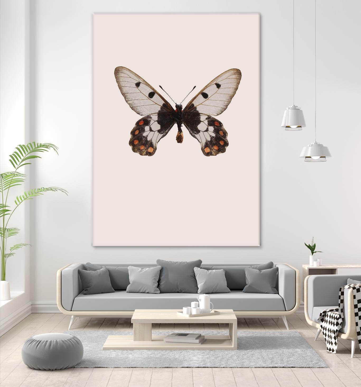 Cressida cressida by Incado on GIANT ART - multicolor animals; floral/still life