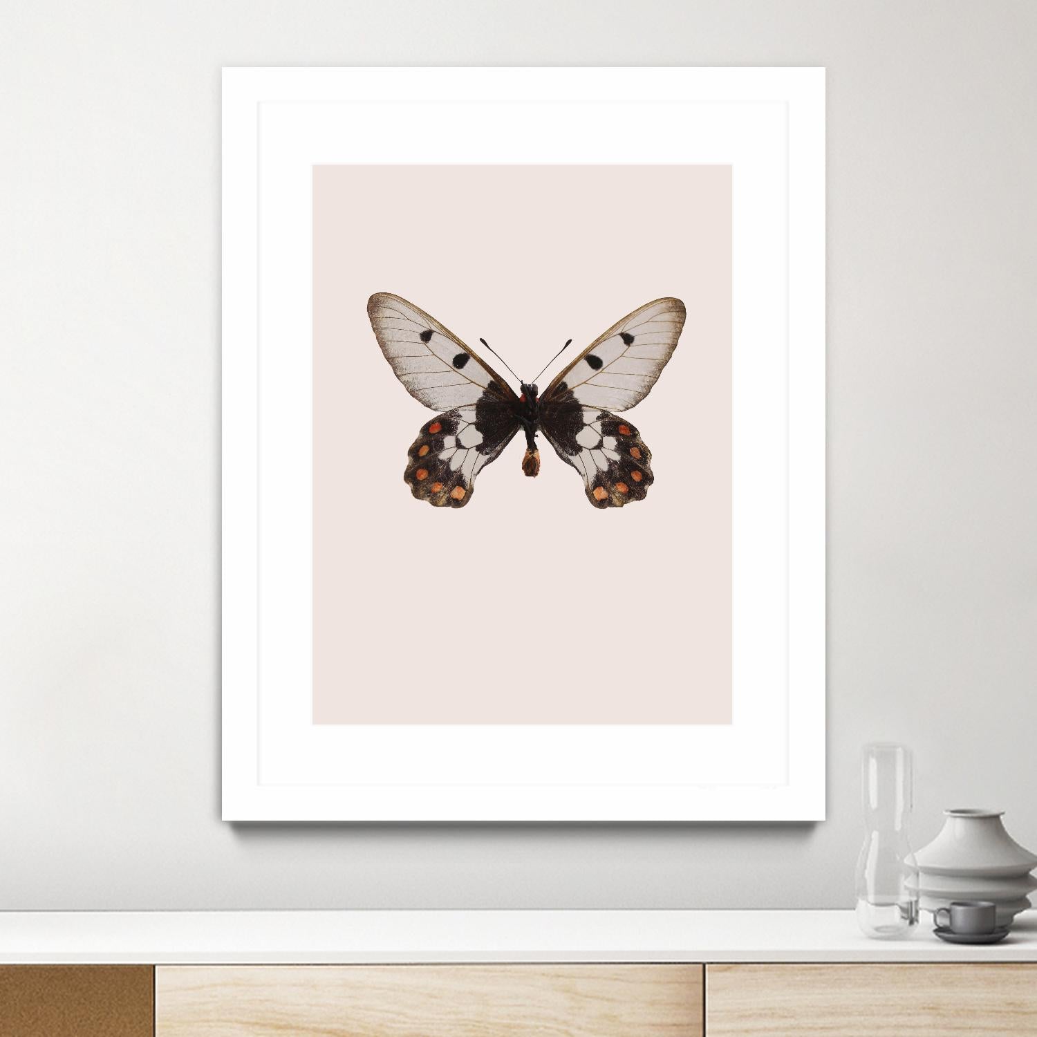 Cressida cressida by Incado on GIANT ART - multicolor animals; floral/still life