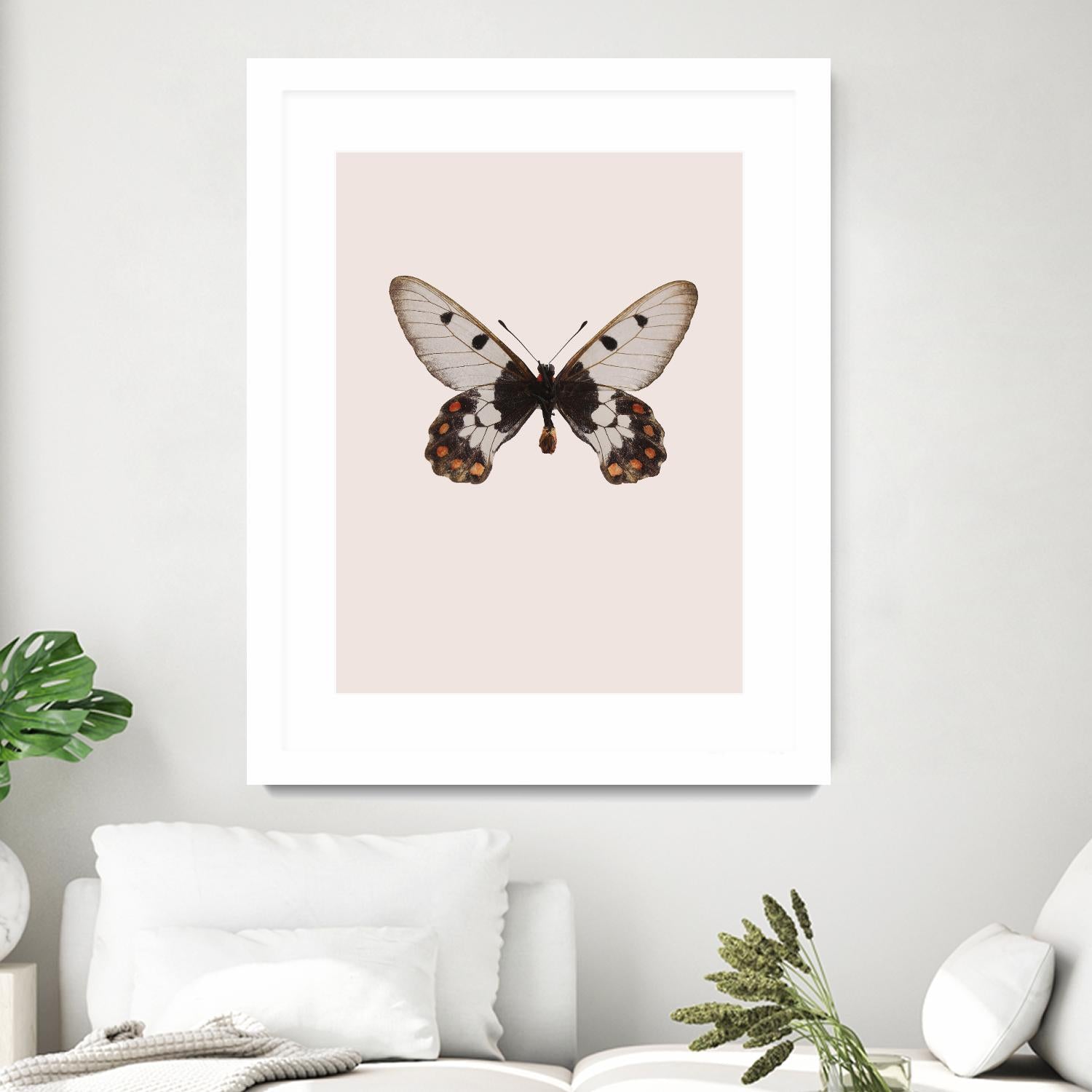 Cressida cressida by Incado on GIANT ART - multicolor animals; floral/still life