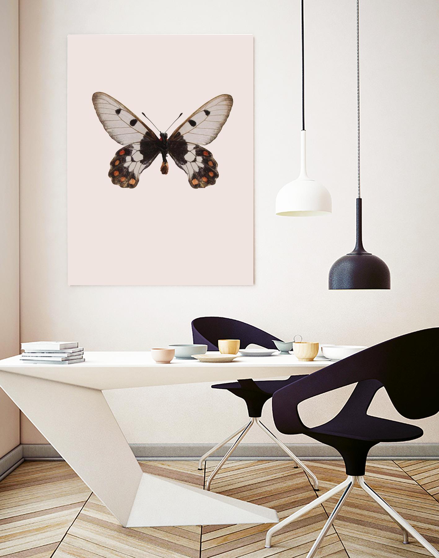 Cressida cressida by Incado on GIANT ART - multicolor animals; floral/still life