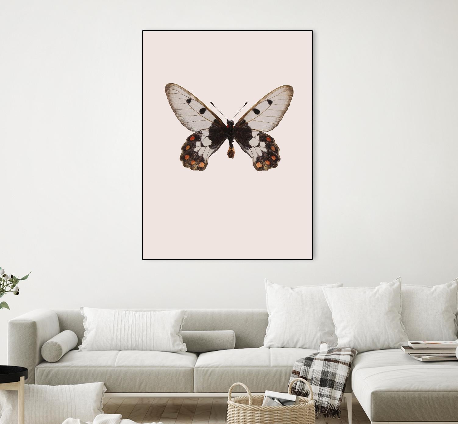 Cressida cressida by Incado on GIANT ART - multicolor animals; floral/still life