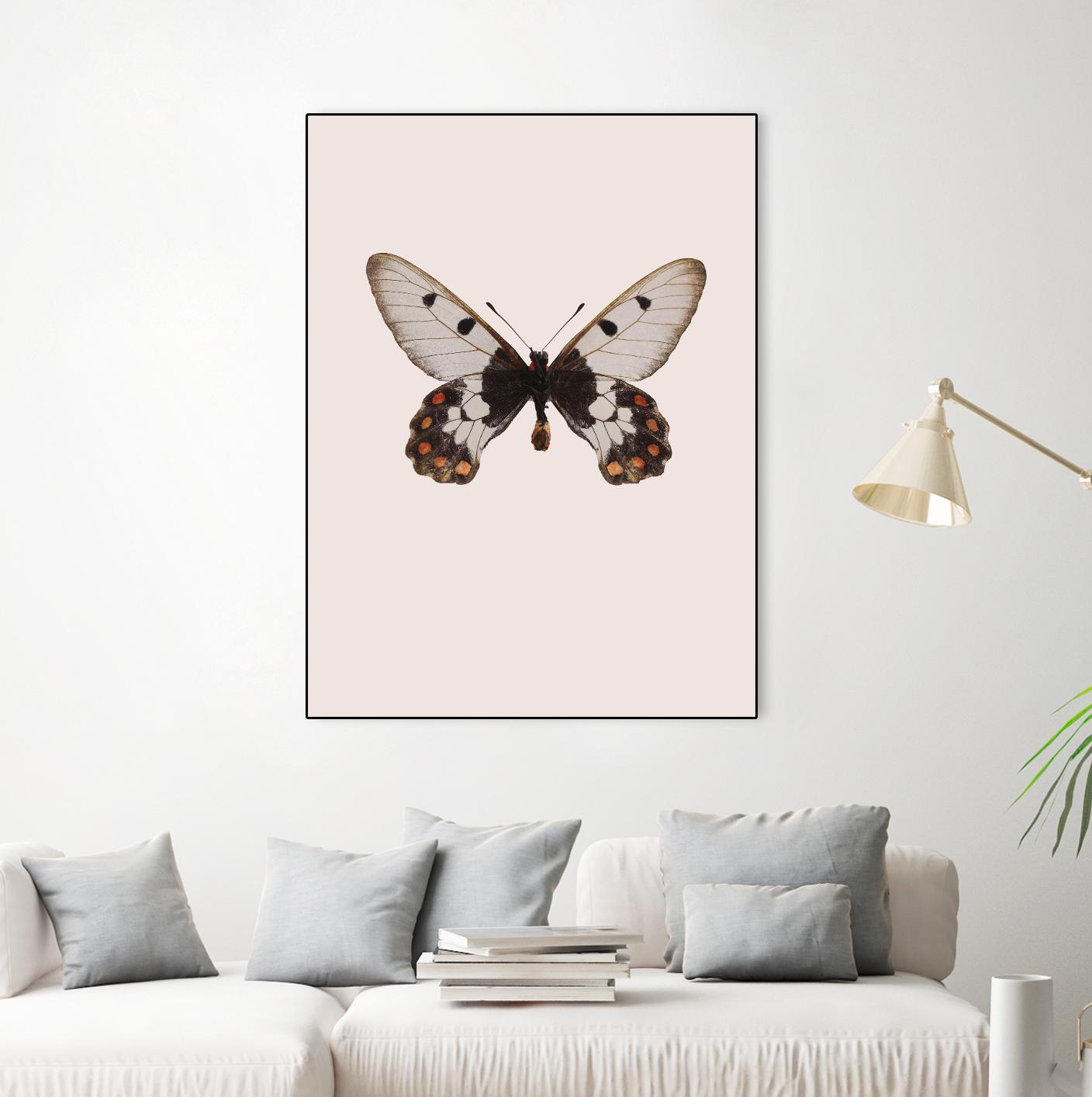 Cressida cressida by Incado on GIANT ART - multicolor animals; floral/still life