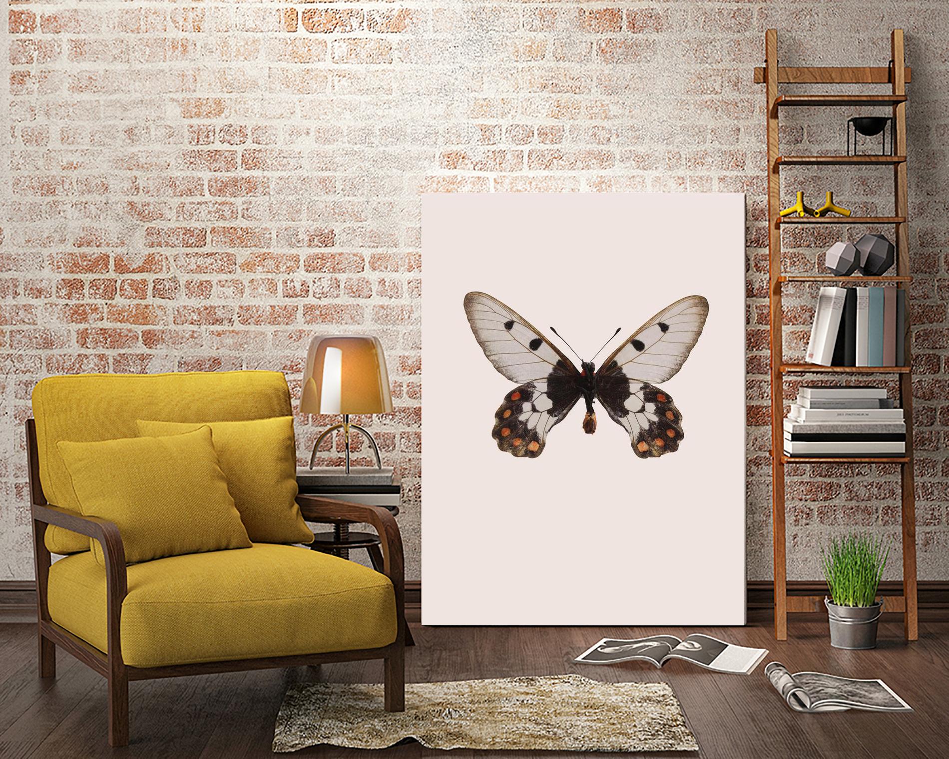 Cressida cressida by Incado on GIANT ART - multicolor animals; floral/still life