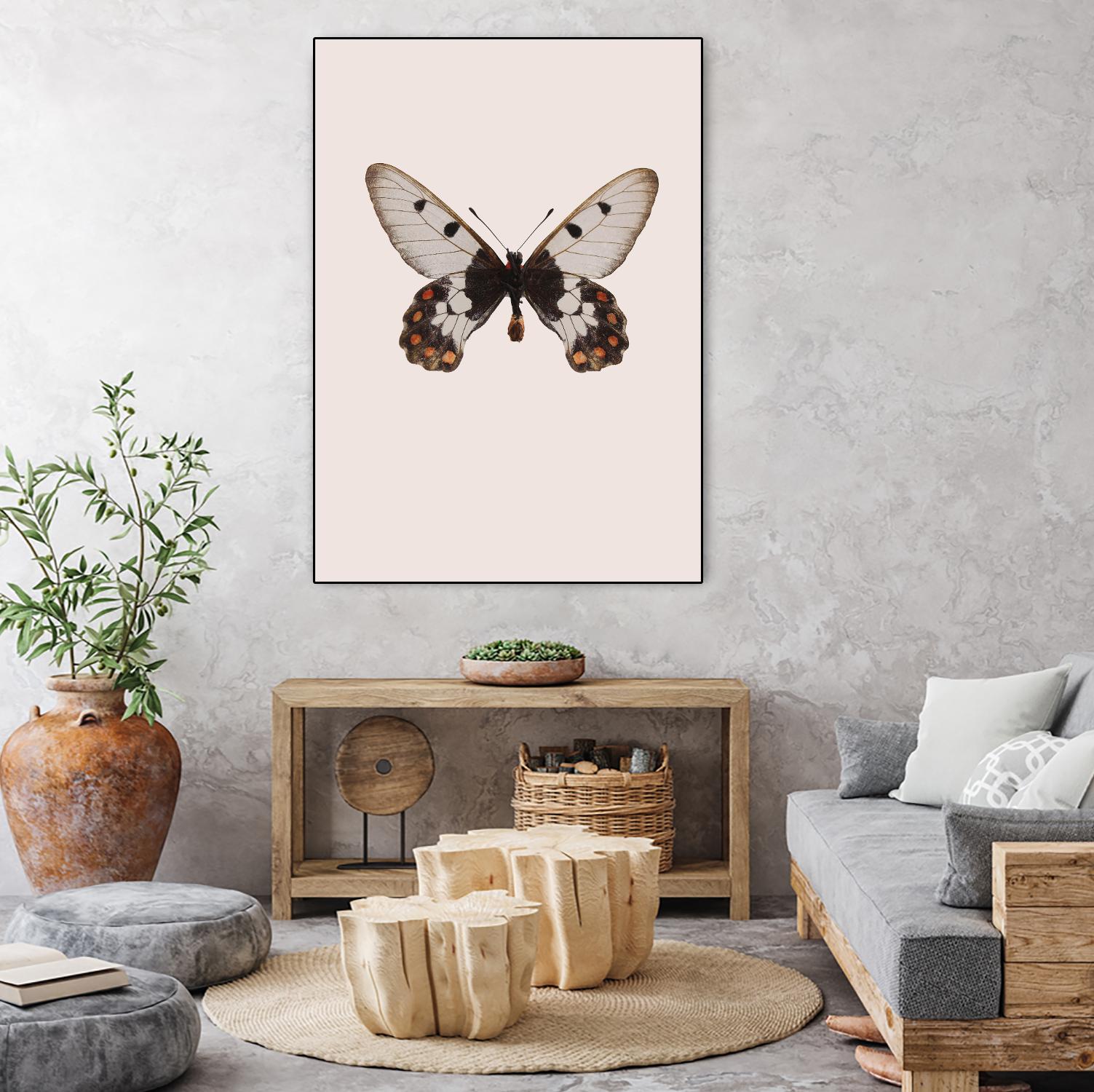 Cressida cressida by Incado on GIANT ART - multicolor animals; floral/still life