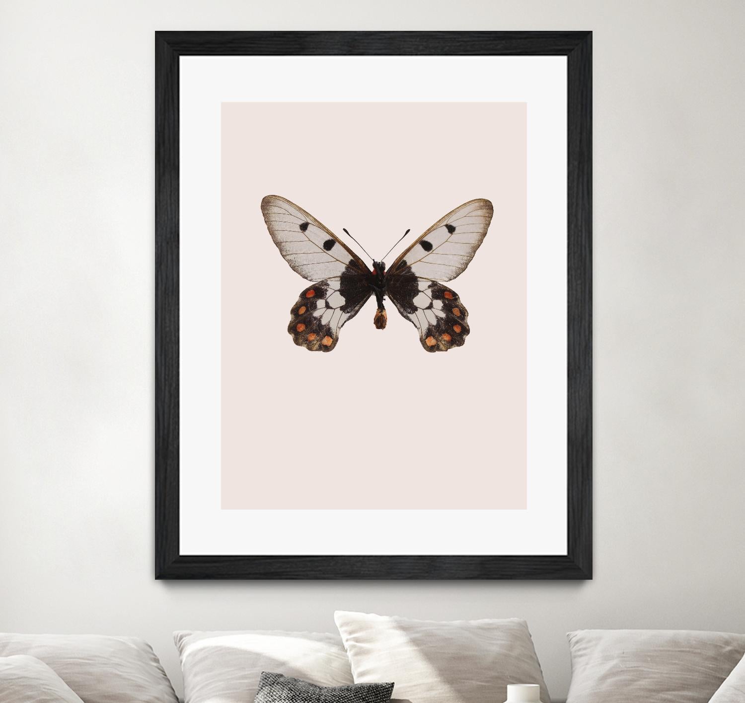 Cressida cressida by Incado on GIANT ART - multicolor animals; floral/still life