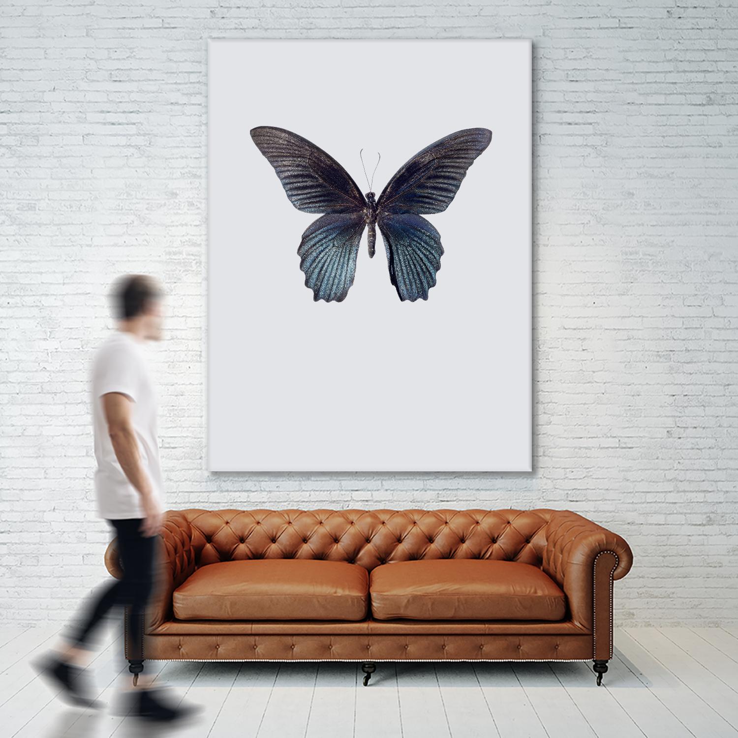 Great Mormon by Incado on GIANT ART - multicolor animals; floral/still life