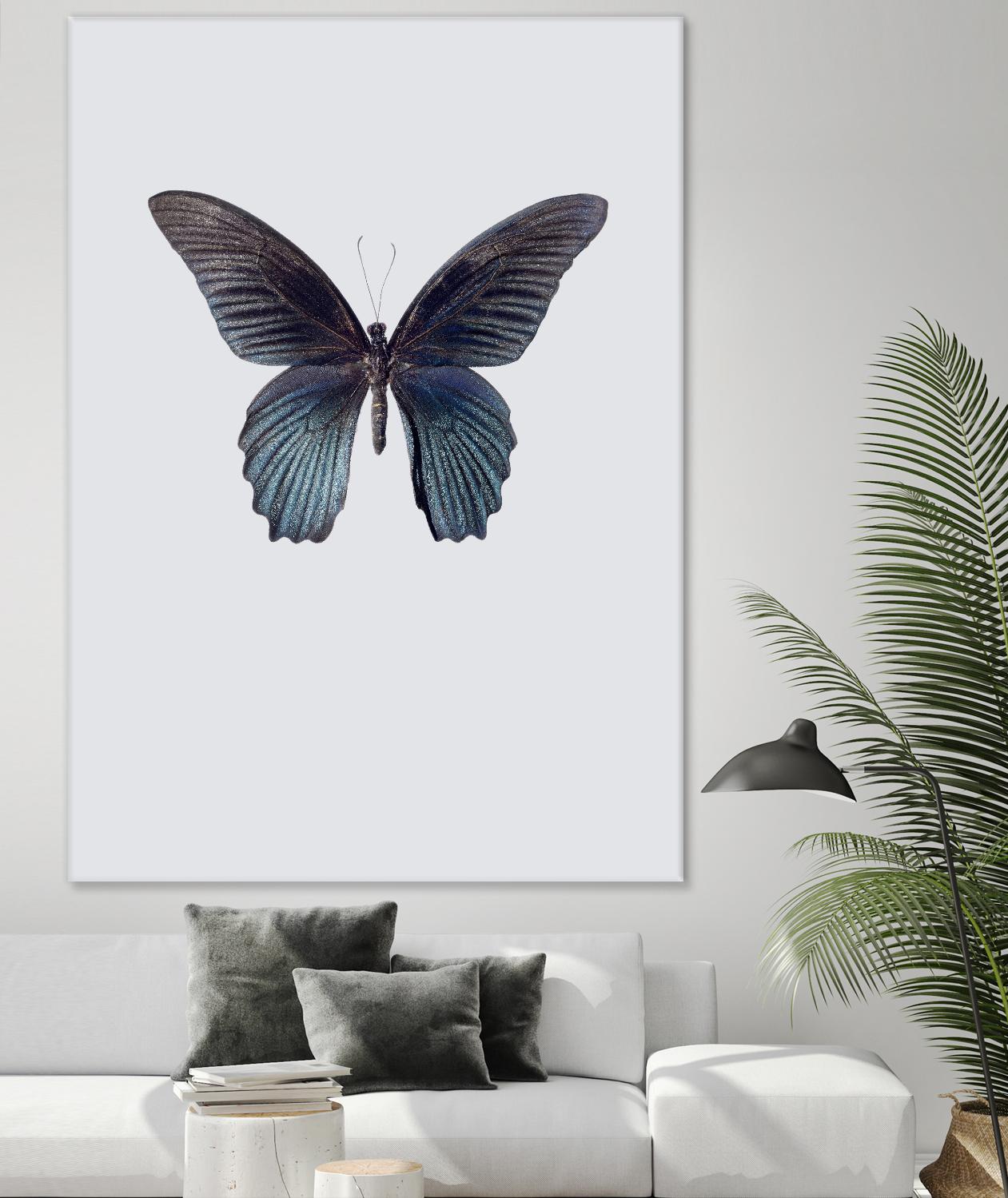 Great Mormon by Incado on GIANT ART - multicolor animals; floral/still life