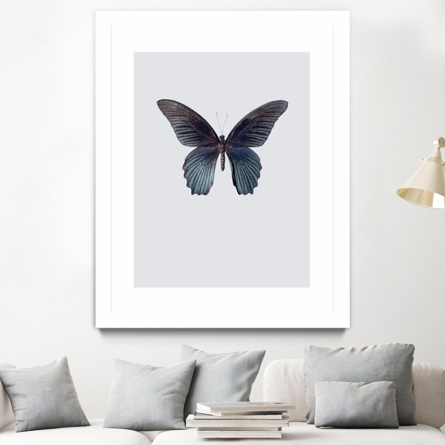 Great Mormon by Incado on GIANT ART - multicolor animals; floral/still life