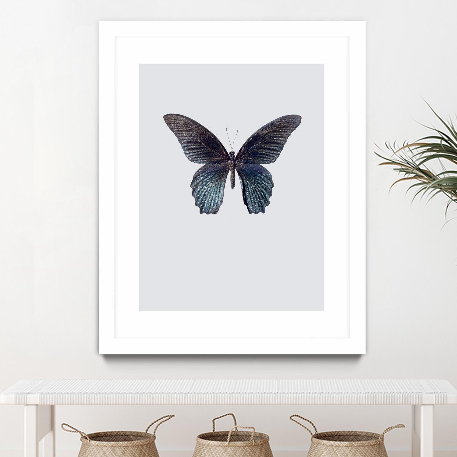 Great Mormon by Incado on GIANT ART - multicolor animals; floral/still life