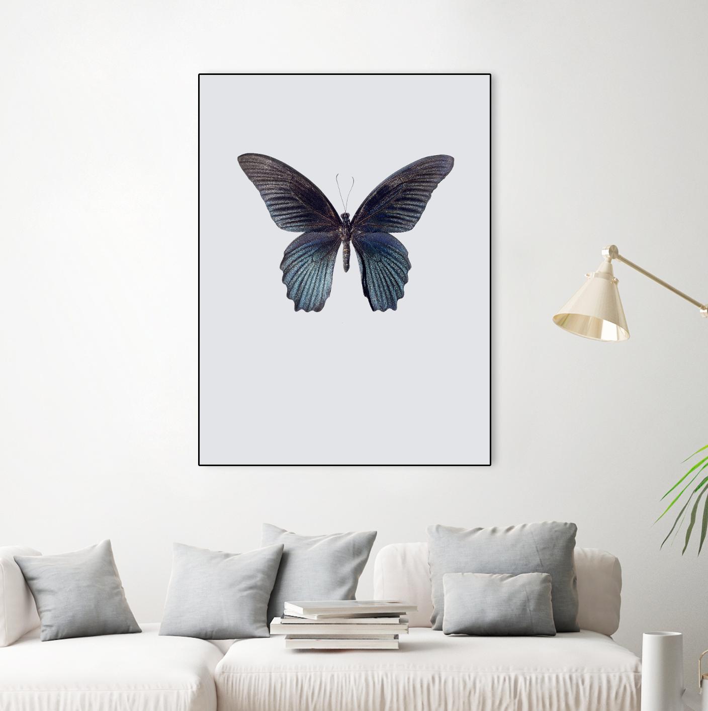 Great Mormon by Incado on GIANT ART - multicolor animals; floral/still life