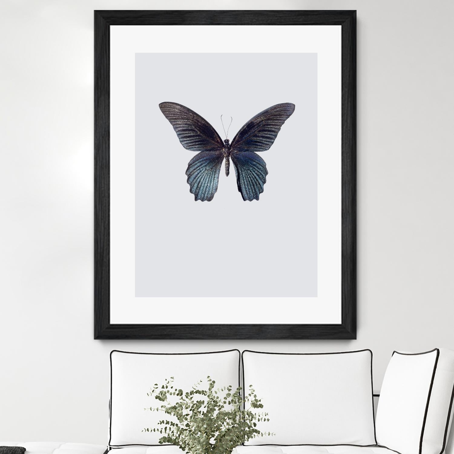 Great Mormon by Incado on GIANT ART - multicolor animals; floral/still life