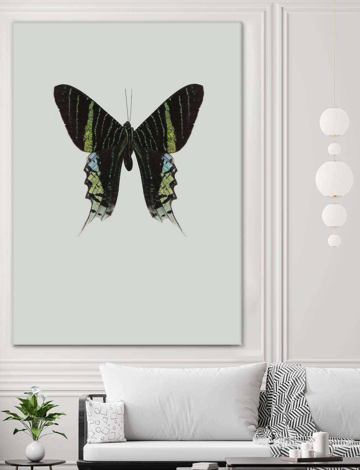 Green butterfly by Incado on GIANT ART - multicolor animals; floral/still life