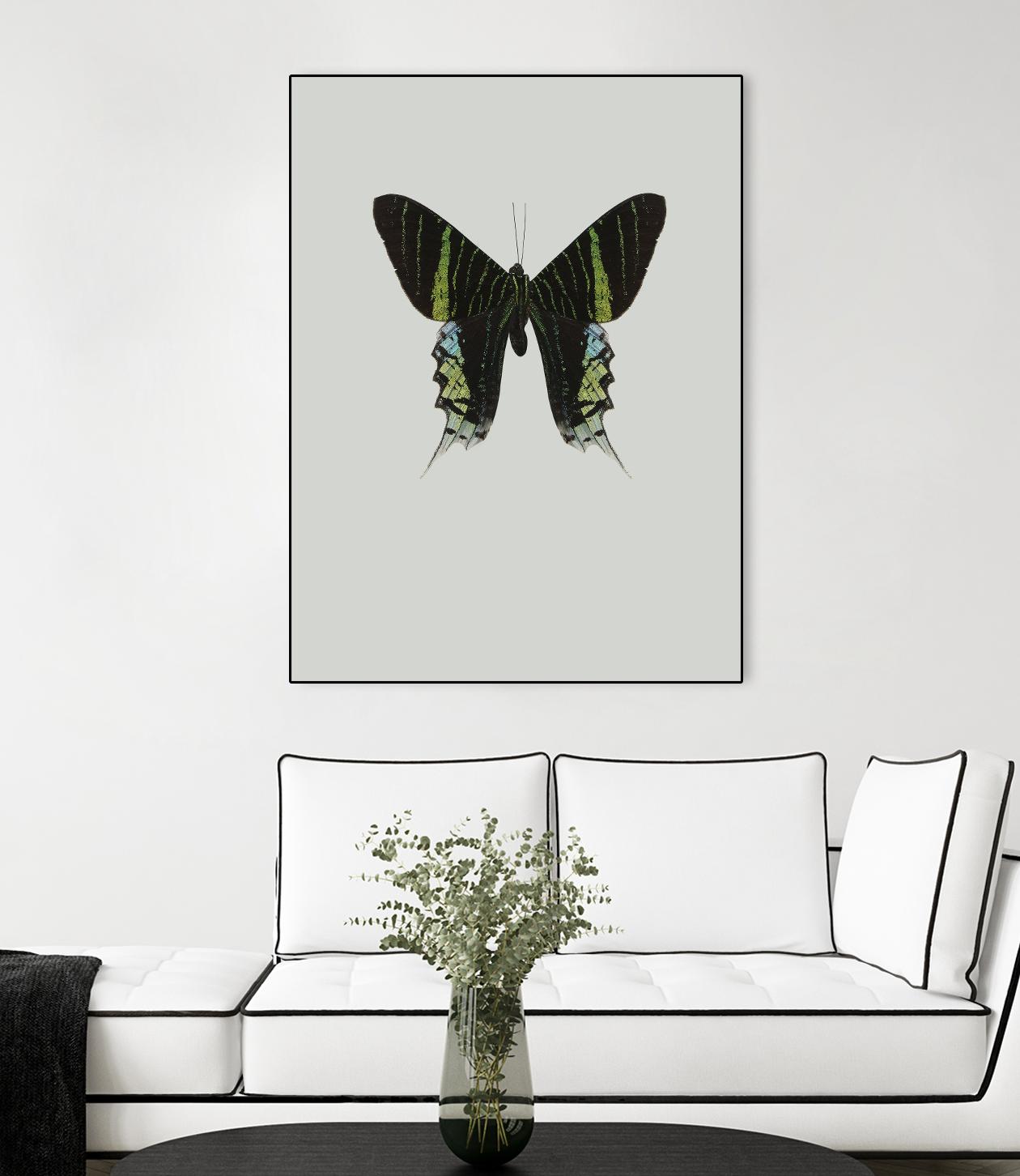 Green butterfly by Incado on GIANT ART - multicolor animals; floral/still life