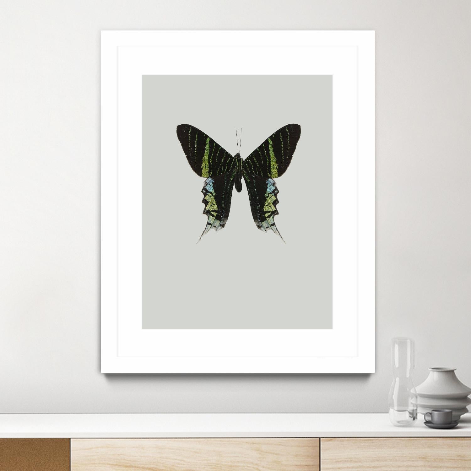 Green butterfly by Incado on GIANT ART - multicolor animals; floral/still life