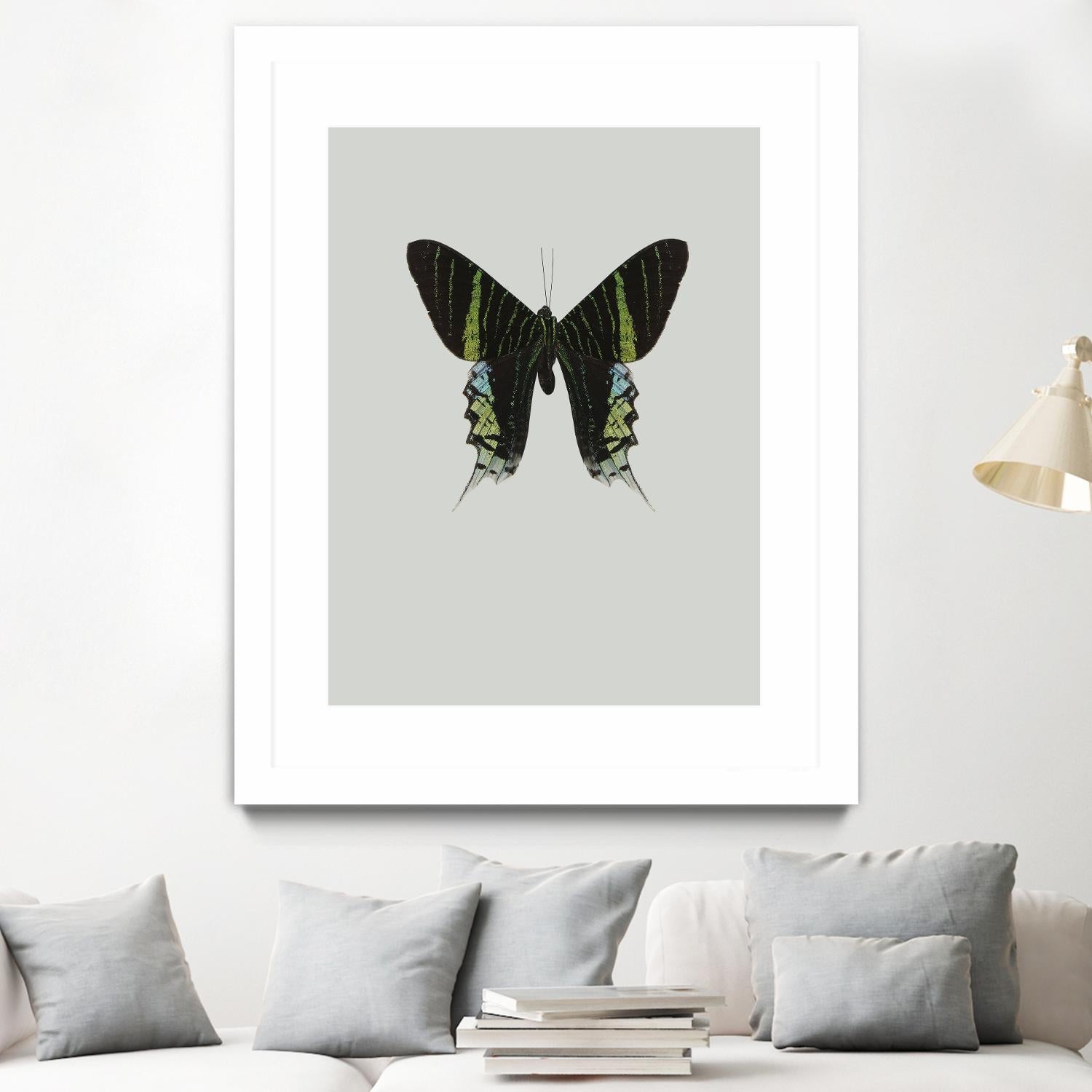 Green butterfly by Incado on GIANT ART - multicolor animals; floral/still life