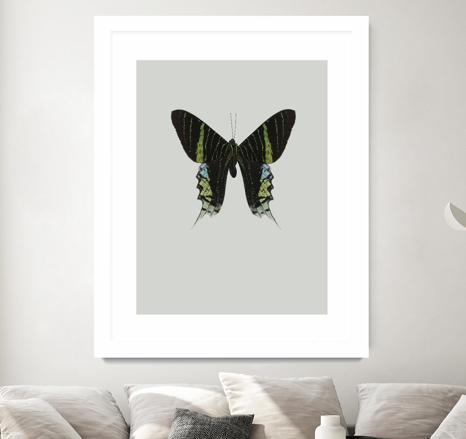 Green butterfly by Incado on GIANT ART - multicolor animals; floral/still life