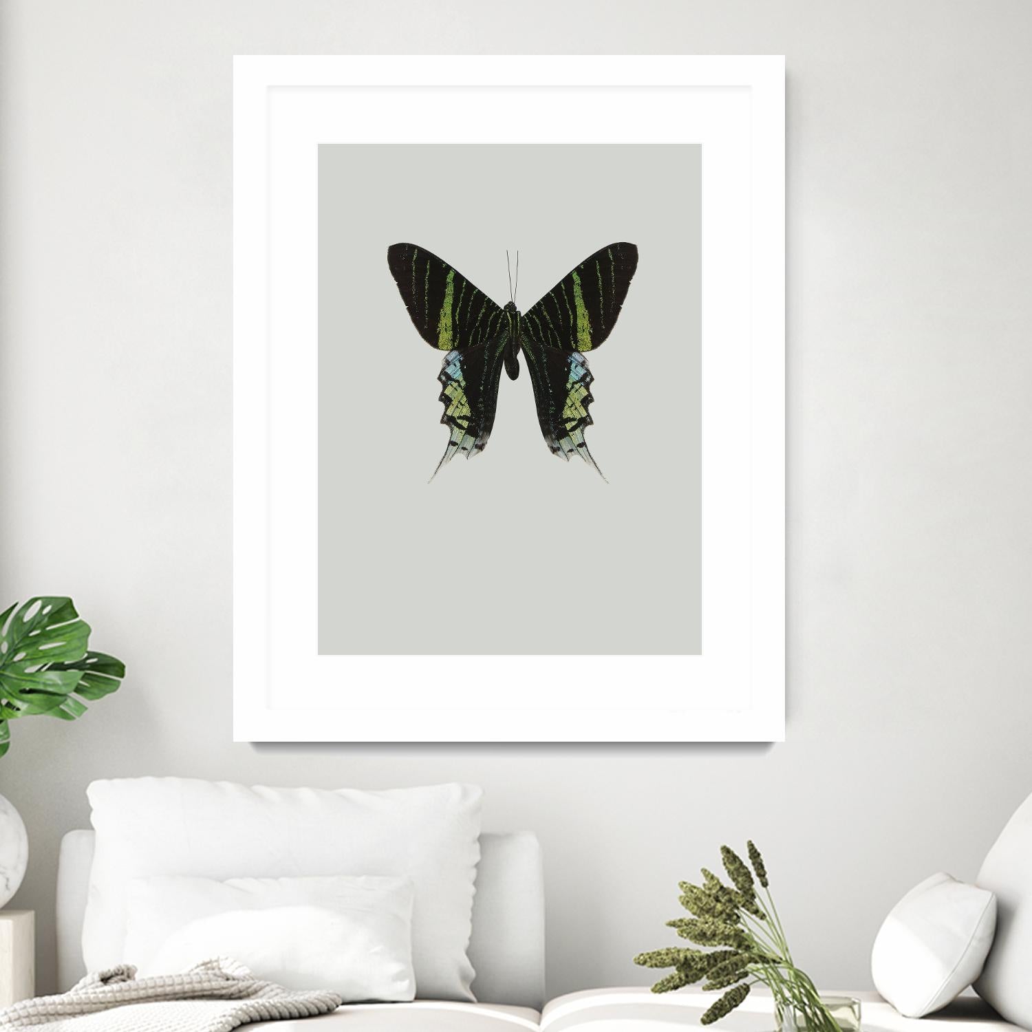 Green butterfly by Incado on GIANT ART - multicolor animals; floral/still life